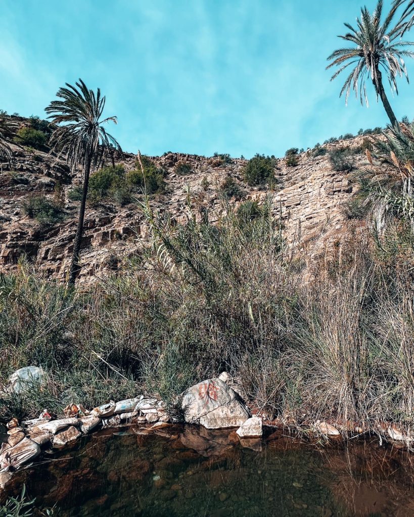 a shot of the palm trees, lake and mountain at Paradise Valley, Agadir, Morocco