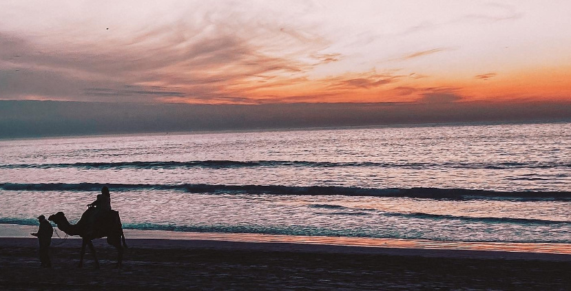 a landscape shot of the sunsetting behind the sea. A silhouette of a man walking with someone riding on a camel's back is in the bottom left corner.