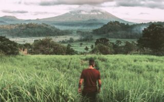 Man Standing Facing Grass and Mountains Illustration