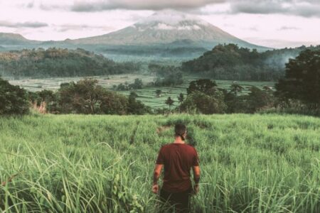 Man Standing Facing Grass and Mountains Illustration
