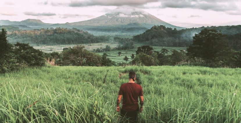 Man Standing Facing Grass and Mountains Illustration