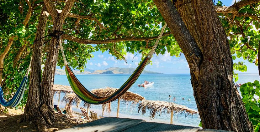 Colorful hammocks hanging in trees near a beach with calm water and mountains in the background.