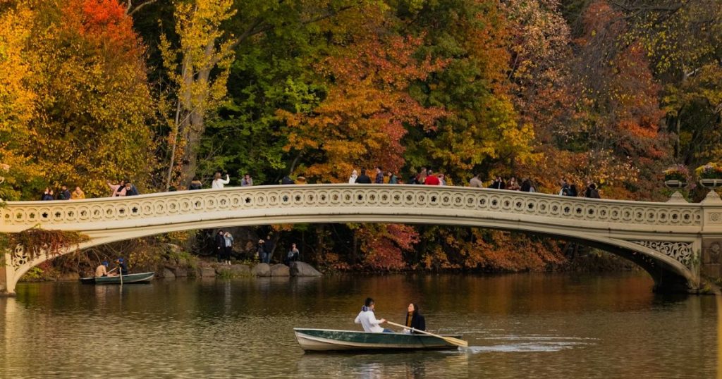 Autumn foliage and Bow Bridge in Central Park, New York City