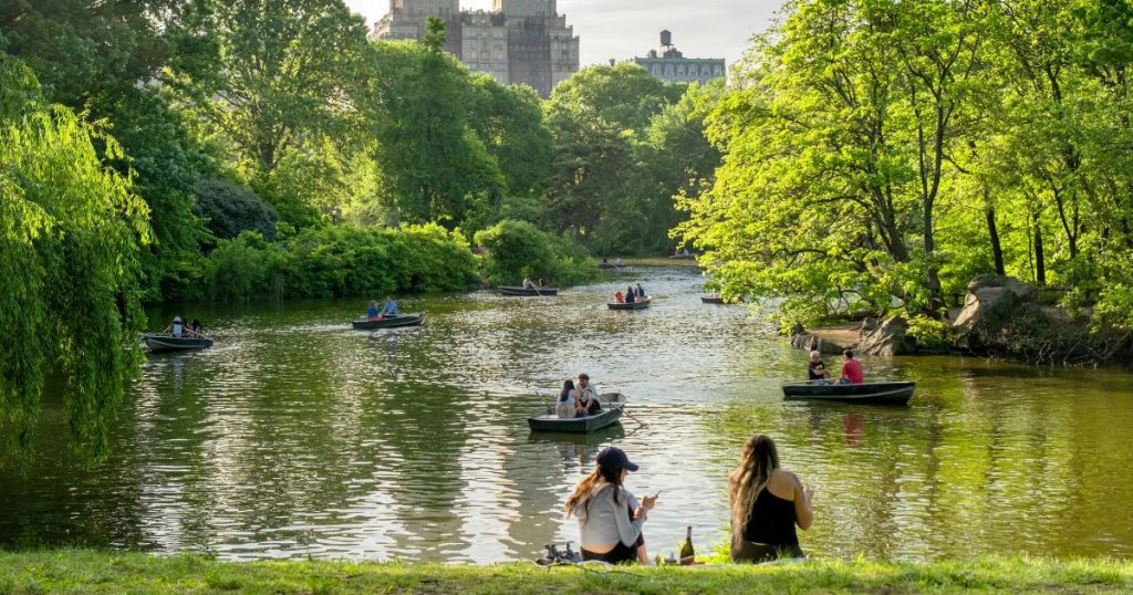 People relaxing by the lake in Central Park on a summer day