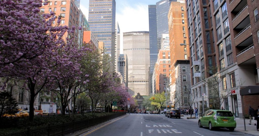 Spring street scene with blooming trees in Midtown Manhattan