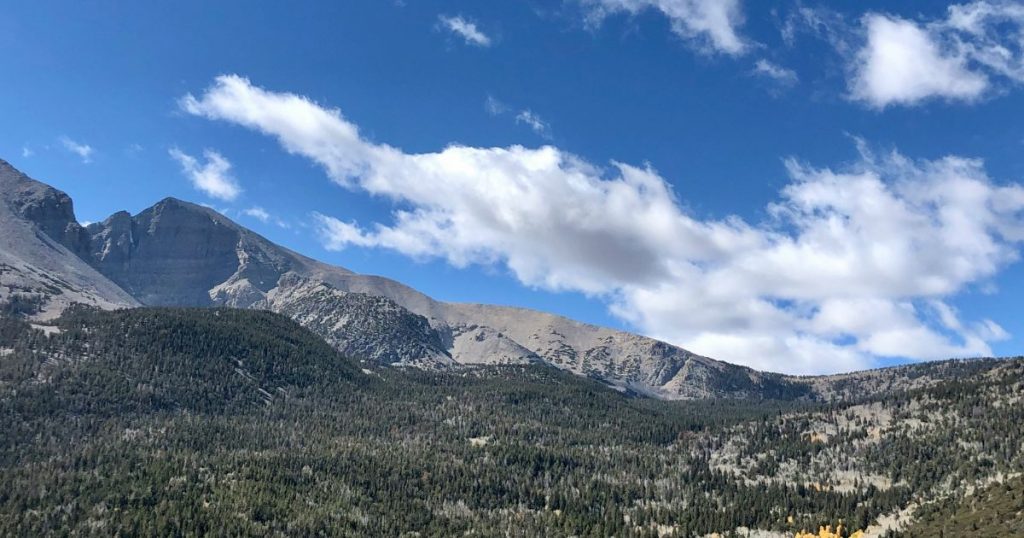 Great Basin National Park, Nevada - Credit - John Bewlay