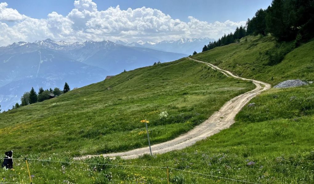 Hiking in Crans-Montana - Credit - Magenta Adventures