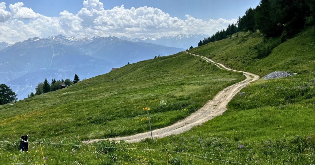 Hiking in Crans-Montana - Credit - Magenta Adventures