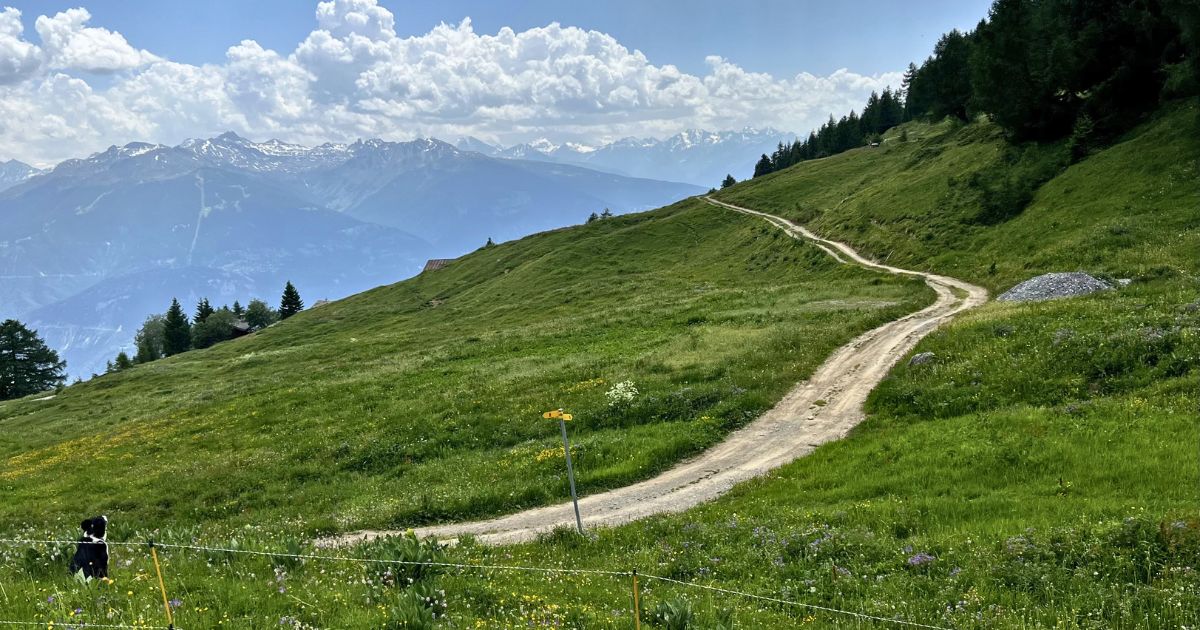 Hiking in Crans-Montana - Credit - Magenta Adventures